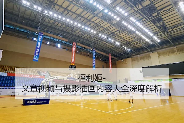 福利姬-文章视频与摄影插画内容大全深度解析
